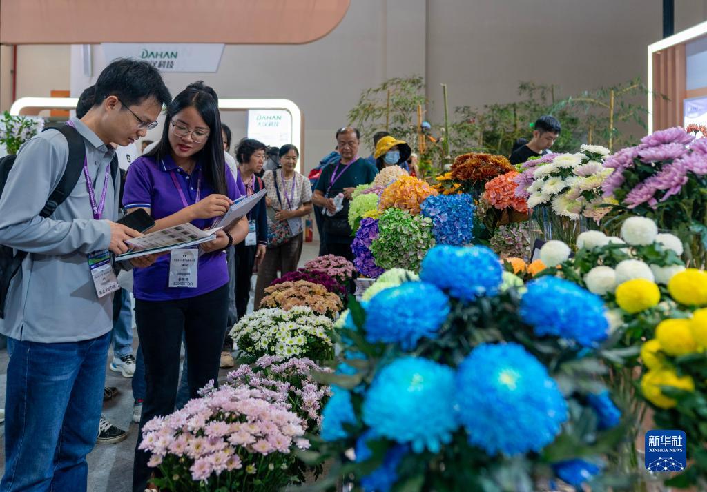 ag金拉霸800倍游戏论坛